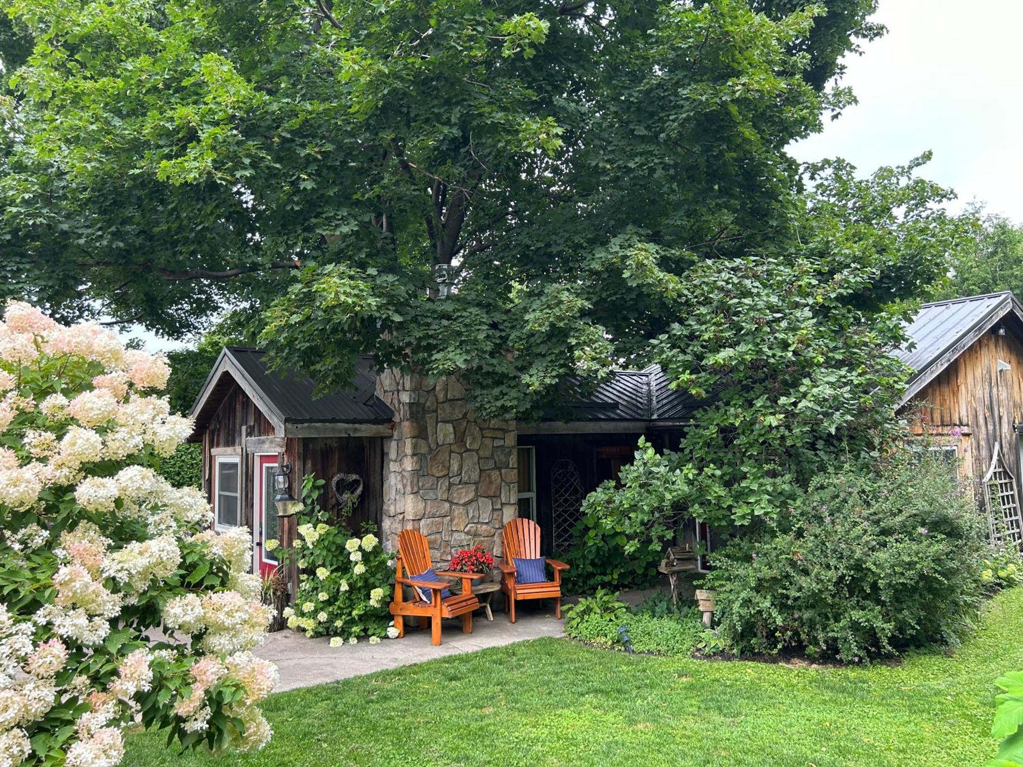 Cozy Close To Wasaga & Blue Mtn Nottawa